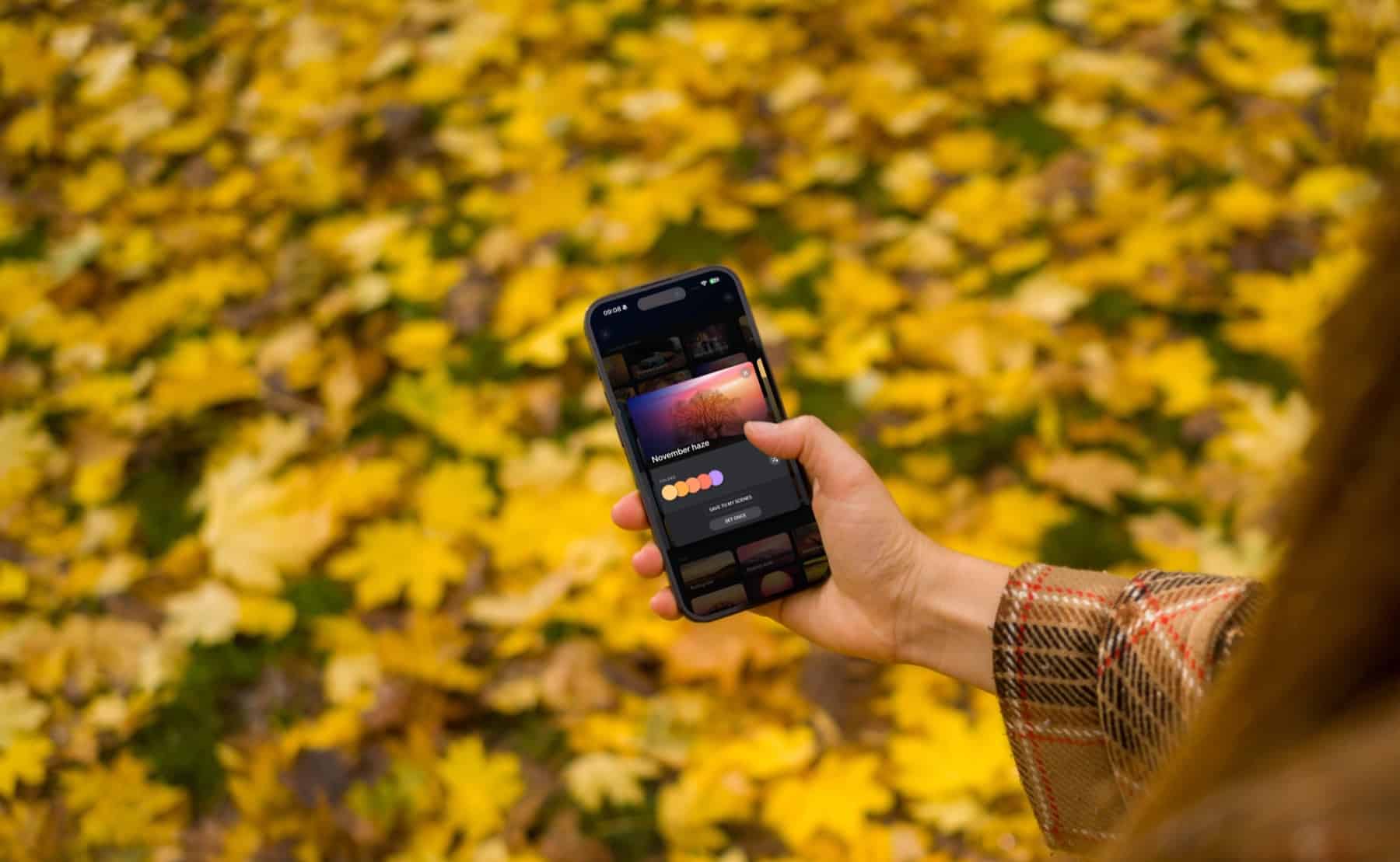 Hueblog: Philips Hue liefert acht neue herbstliche Szenen